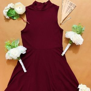 Cute Purplish Burgundy Skater Dress